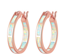 Load image into Gallery viewer, Trinity Earrings